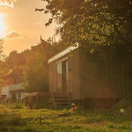 Villa Tiny House Steirermadl à Birkfeld Extérieur photo